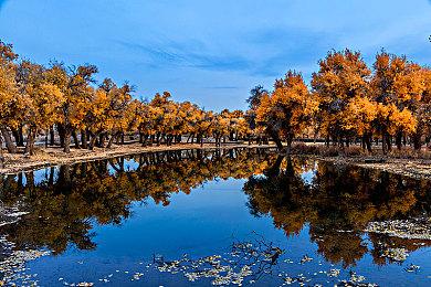 《暗黑破坏神4：憎恨之躯》剧情简介和首个概念图
